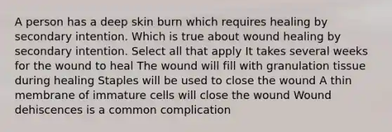 A person has a deep skin burn which requires healing by secondary intention. Which is true about wound healing by secondary intention. Select all that apply It takes several weeks for the wound to heal The wound will fill with granulation tissue during healing Staples will be used to close the wound A thin membrane of immature cells will close the wound Wound dehiscences is a common complication