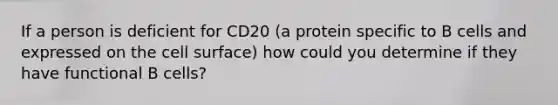 If a person is deficient for CD20 (a protein specific to B cells and expressed on the cell surface) how could you determine if they have functional B cells?