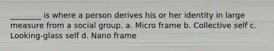 ________ is where a person derives his or her identity in large measure from a social group. a. Micro frame b. Collective self c. Looking-glass self d. Nano frame