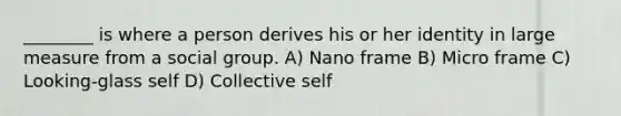 ________ is where a person derives his or her identity in large measure from a social group. A) Nano frame B) Micro frame C) Looking-glass self D) Collective self