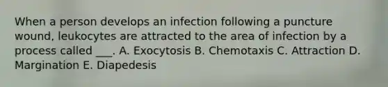 When a person develops an infection following a puncture wound, leukocytes are attracted to the area of infection by a process called ___. A. Exocytosis B. Chemotaxis C. Attraction D. Margination E. Diapedesis