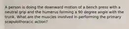 A person is doing the downward motion of a bench press with a neutral grip and the humerus forming a 90 degree angle with the trunk. What are the muscles involved in performing the primary scapulothoracic action?