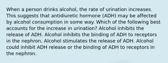 When a person drinks alcohol, the rate of urination increases. This suggests that antidiuretic hormone (ADH) may be affected by alcohol consumption in some way. Which of the following best accounts for the increase in urination? Alcohol inhibits the release of ADH. Alcohol inhibits the binding of ADH to receptors in the nephron. Alcohol stimulates the release of ADH. Alcohol could inhibit ADH release or the binding of ADH to receptors in the nephron.