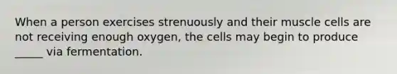 When a person exercises strenuously and their muscle cells are not receiving enough oxygen, the cells may begin to produce _____ via fermentation.