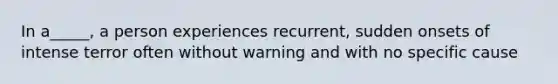 In a_____, a person experiences recurrent, sudden onsets of intense terror often without warning and with no specific cause