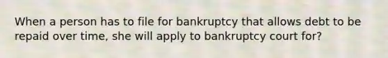 When a person has to file for bankruptcy that allows debt to be repaid over time, she will apply to bankruptcy court for?