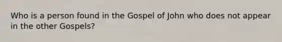 Who is a person found in the Gospel of John who does not appear in the other Gospels?