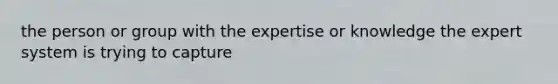 the person or group with the expertise or knowledge the expert system is trying to capture