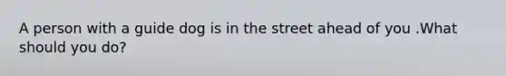 A person with a guide dog is in the street ahead of you .What should you do?