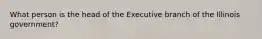 What person is the head of the Executive branch of the Illinois government?