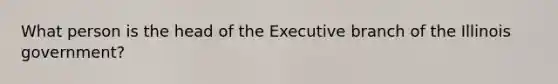 What person is the head of the Executive branch of the Illinois government?