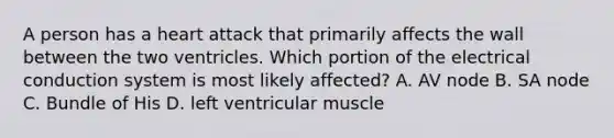 A person has a heart attack that primarily affects the wall between the two ventricles. Which portion of the electrical conduction system is most likely affected? A. AV node B. SA node C. Bundle of His D. left ventricular muscle