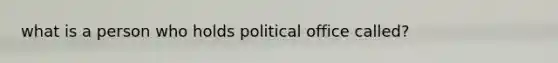 what is a person who holds political office called?