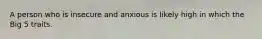 A person who is insecure and anxious is likely high in which the Big 5 traits.