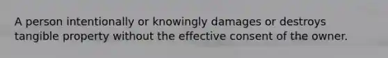 A person intentionally or knowingly damages or destroys tangible property without the effective consent of the owner.