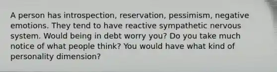 A person has introspection, reservation, pessimism, negative emotions. They tend to have reactive sympathetic nervous system. Would being in debt worry you? Do you take much notice of what people think? You would have what kind of personality dimension?