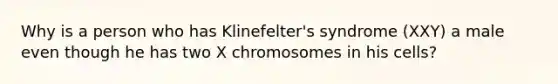 Why is a person who has Klinefelter's syndrome (XXY) a male even though he has two X chromosomes in his cells?