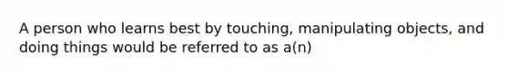 A person who learns best by touching, manipulating objects, and doing things would be referred to as a(n)