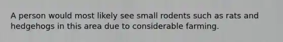 A person would most likely see small rodents such as rats and hedgehogs in this area due to considerable farming.