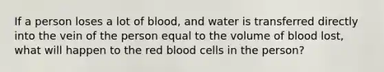 If a person loses a lot of blood, and water is transferred directly into the vein of the person equal to the volume of blood lost, what will happen to the red blood cells in the person?