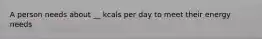 A person needs about __ kcals per day to meet their energy needs