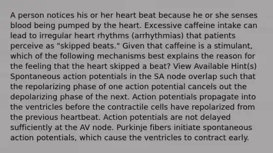 A person notices his or her heart beat because he or she senses blood being pumped by the heart. Excessive caffeine intake can lead to irregular heart rhythms (arrhythmias) that patients perceive as "skipped beats." Given that caffeine is a stimulant, which of the following mechanisms best explains the reason for the feeling that the heart skipped a beat? View Available Hint(s) Spontaneous action potentials in the SA node overlap such that the repolarizing phase of one action potential cancels out the depolarizing phase of the next. Action potentials propagate into the ventricles before the contractile cells have repolarized from the previous heartbeat. Action potentials are not delayed sufficiently at the AV node. Purkinje fibers initiate spontaneous action potentials, which cause the ventricles to contract early.