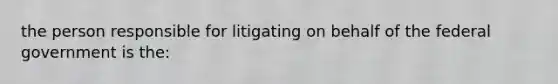 the person responsible for litigating on behalf of the federal government is the: