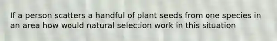 If a person scatters a handful of plant seeds from one species in an area how would natural selection work in this situation