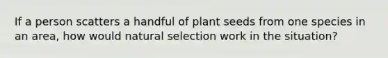 If a person scatters a handful of plant seeds from one species in an area, how would natural selection work in the situation?