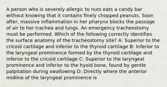 A person who is severely allergic to nuts eats a candy bar without knowing that it contains finely chopped peanuts. Soon after, massive inflammation in her pharynx blocks the passage of air to her trachea and lungs. An emergency tracheostomy must be performed. Which of the following correctly identifies the surface anatomy of the tracheostomy site? A: Superior to the cricoid cartilage and inferior to the thyroid cartilage B: Inferior to the laryngeal prominence formed by the thyroid cartilage and inferior to the cricoid cartilage C: Superior to the laryngeal prominence and inferior to the hyoid bone, found by gentle palpitation during swallowing D: Directly where the anterior midline of the laryngeal prominence is