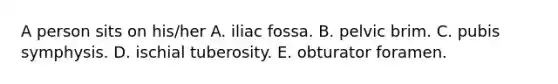 A person sits on his/her A. iliac fossa. B. pelvic brim. C. pubis symphysis. D. ischial tuberosity. E. obturator foramen.