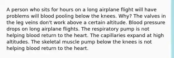 A person who sits for hours on a long airplane flight will have problems will blood pooling below the knees. Why? The valves in the leg veins don't work above a certain altitude. Blood pressure drops on long airplane flights. The respiratory pump is not helping blood return to the heart. The capillaries expand at high altitudes. The skeletal muscle pump below the knees is not helping blood return to the heart.