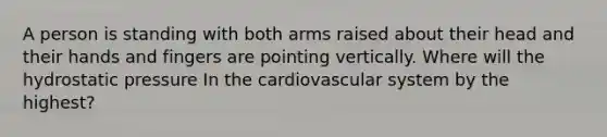 A person is standing with both arms raised about their head and their hands and fingers are pointing vertically. Where will the hydrostatic pressure In the cardiovascular system by the highest?