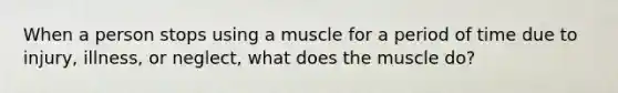 When a person stops using a muscle for a period of time due to injury, illness, or neglect, what does the muscle do?