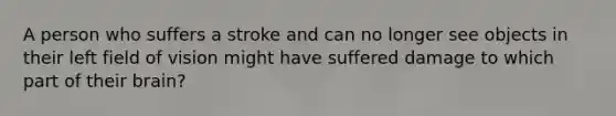 A person who suffers a stroke and can no longer see objects in their left field of vision might have suffered damage to which part of their brain?