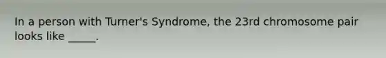 In a person with Turner's Syndrome, the 23rd chromosome pair looks like _____.