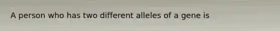 A person who has two different alleles of a gene is