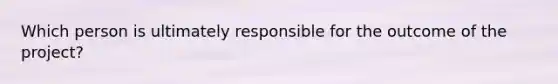 Which person is ultimately responsible for the outcome of the project?