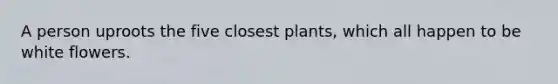 A person uproots the five closest plants, which all happen to be white flowers.