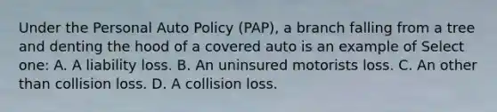 Under the Personal Auto Policy (PAP), a branch falling from a tree and denting the hood of a covered auto is an example of Select one: A. A liability loss. B. An uninsured motorists loss. C. An other than collision loss. D. A collision loss.