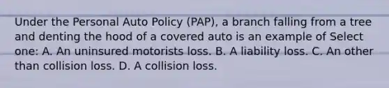 Under the Personal Auto Policy (PAP), a branch falling from a tree and denting the hood of a covered auto is an example of Select one: A. An uninsured motorists loss. B. A liability loss. C. An other than collision loss. D. A collision loss.