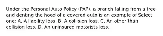 Under the Personal Auto Policy (PAP), a branch falling from a tree and denting the hood of a covered auto is an example of Select one: A. A liability loss. B. A collision loss. C. An other than collision loss. D. An uninsured motorists loss.