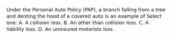 Under the Personal Auto Policy (PAP), a branch falling from a tree and denting the hood of a covered auto is an example of Select one: A. A collision loss. B. An other than collision loss. C. A liability loss. D. An uninsured motorists loss.