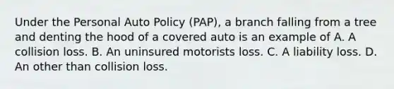 Under the Personal Auto Policy (PAP), a branch falling from a tree and denting the hood of a covered auto is an example of A. A collision loss. B. An uninsured motorists loss. C. A liability loss. D. An other than collision loss.