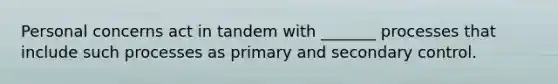 Personal concerns act in tandem with _______ processes that include such processes as primary and secondary control.