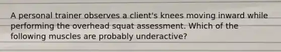 A personal trainer observes a client's knees moving inward while performing the overhead squat assessment. Which of the following muscles are probably underactive?