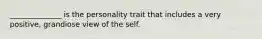 ______________ is the personality trait that includes a very positive, grandiose view of the self.