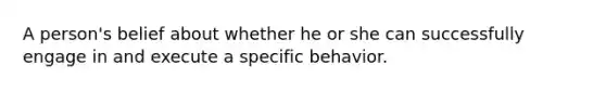 A person's belief about whether he or she can successfully engage in and execute a specific behavior.