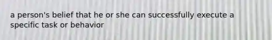 a person's belief that he or she can successfully execute a specific task or behavior