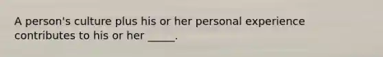 A person's culture plus his or her personal experience contributes to his or her _____.